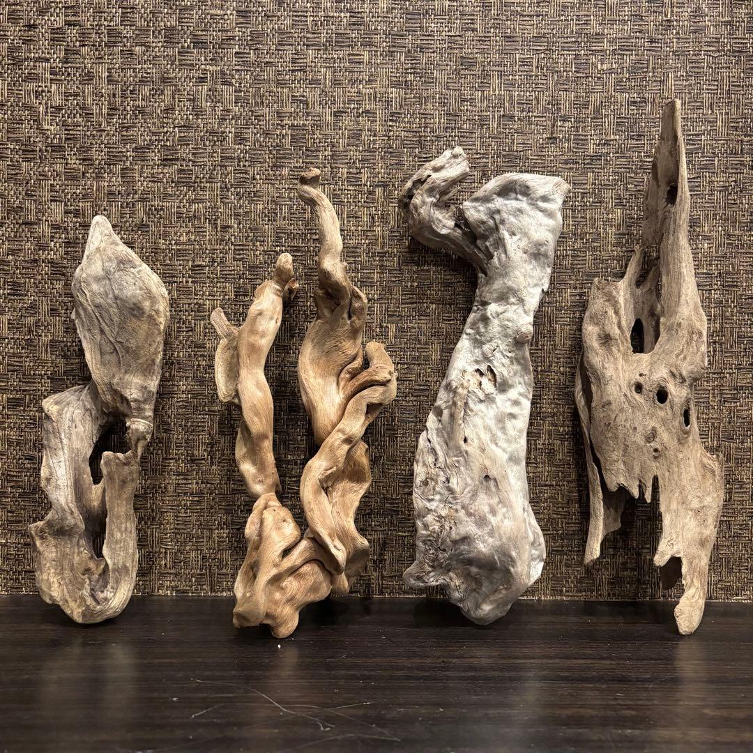 流木 優秀フォルム４本セット