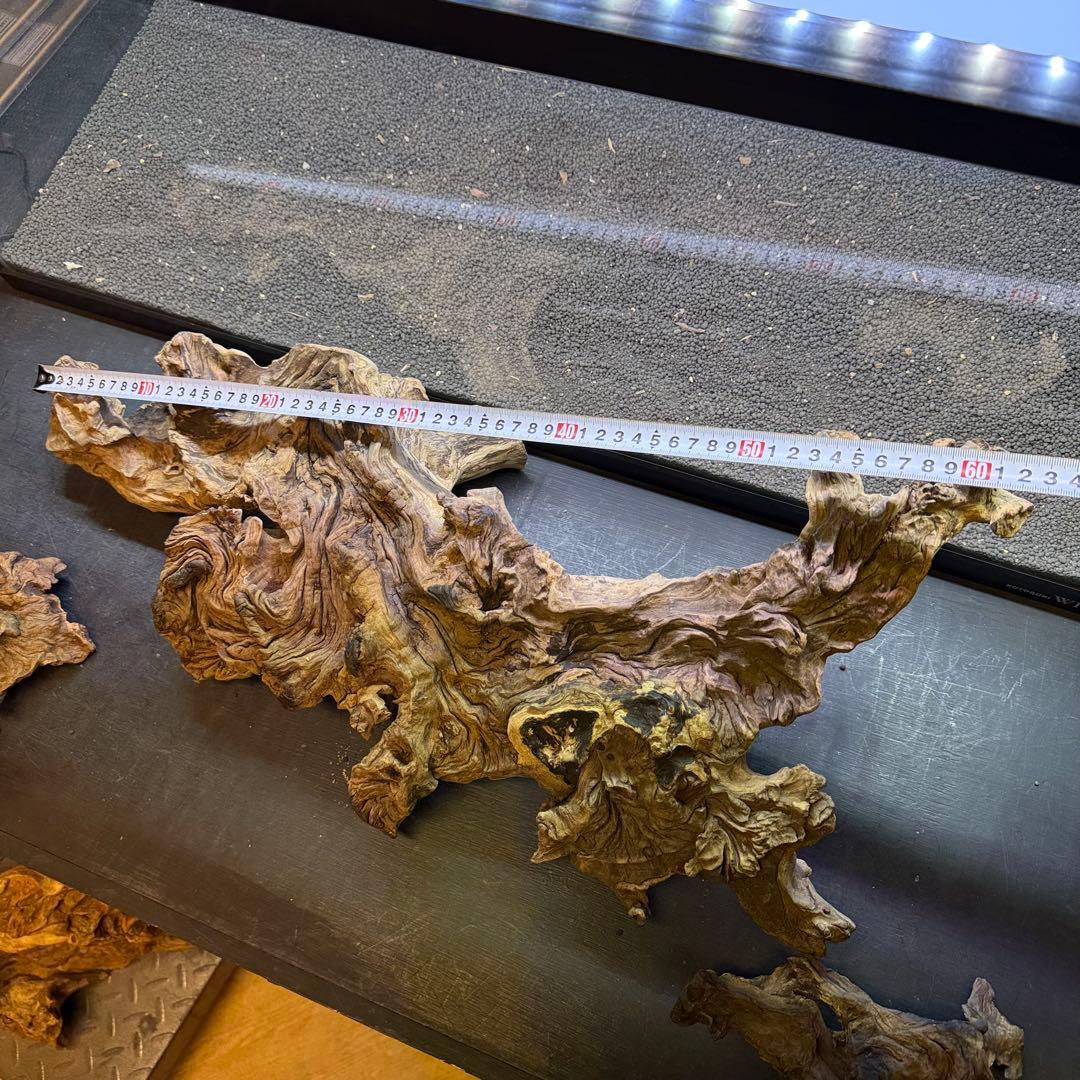 MJW-7213 「特大」ジンジャーウッド　90cm水槽用　天然流木3本セット