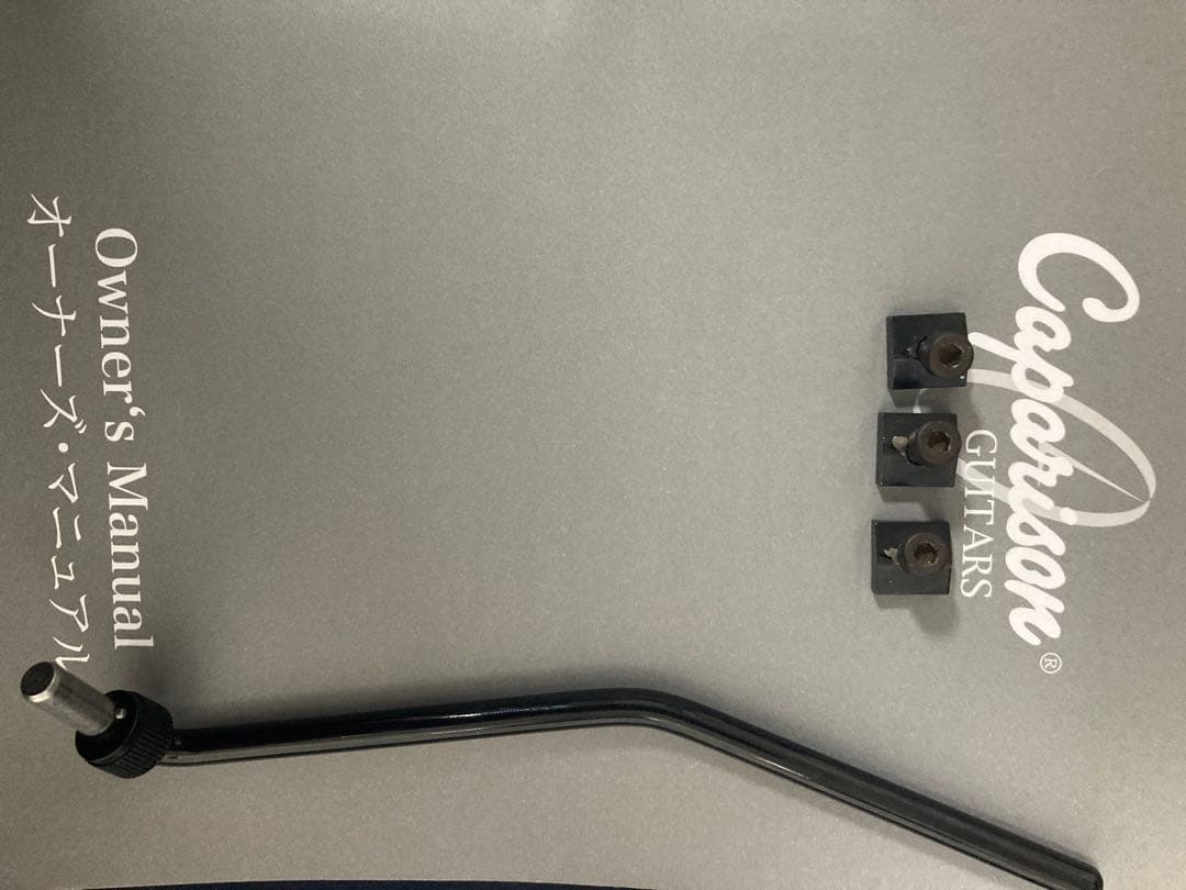 ギター Caparison Dellinger Prominence