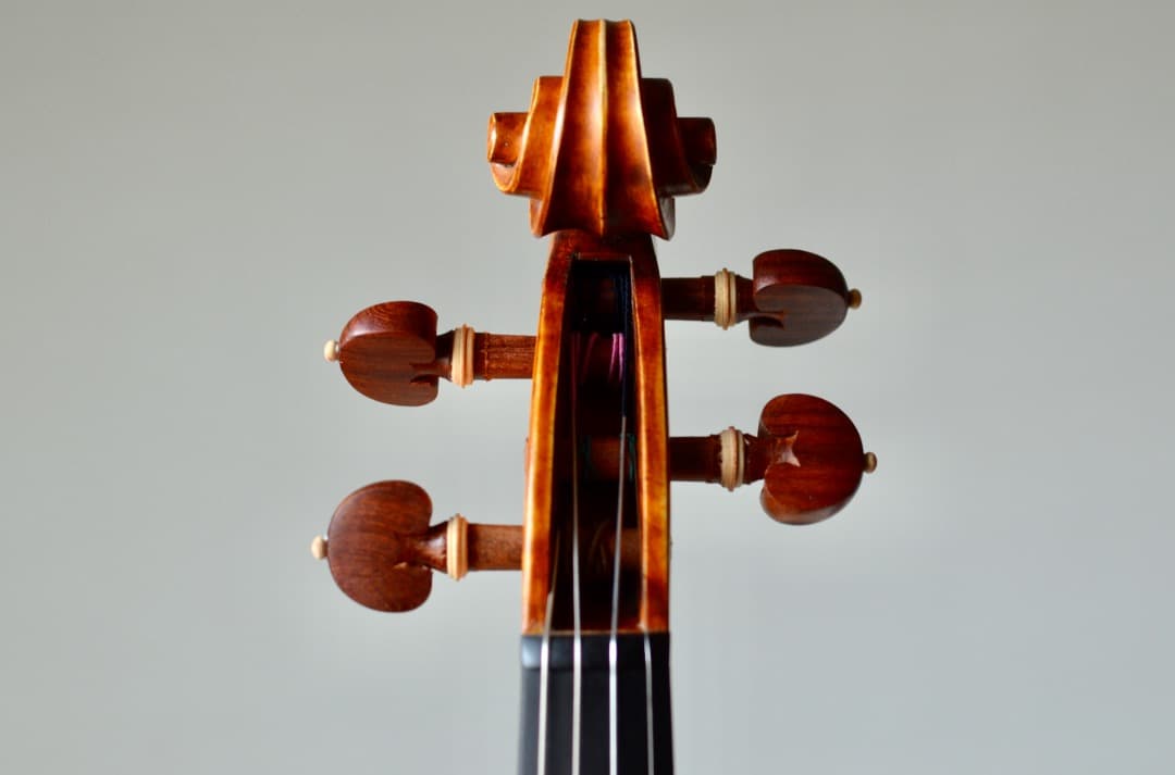 【カスタム美品】Gliga GEMS1 4/4 バイオリン セット