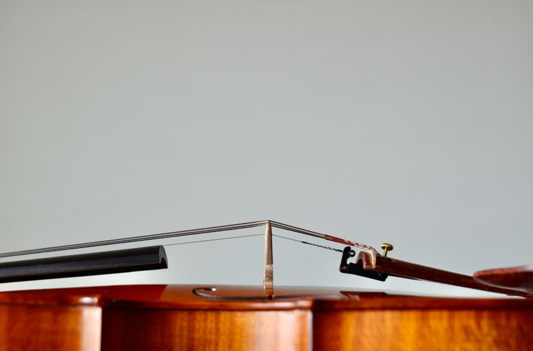 【カスタム美品】Gliga GEMS1 4/4 バイオリン セット