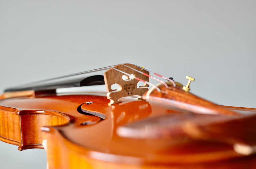 【カスタム美品】Gliga GEMS1 4/4 バイオリン セット