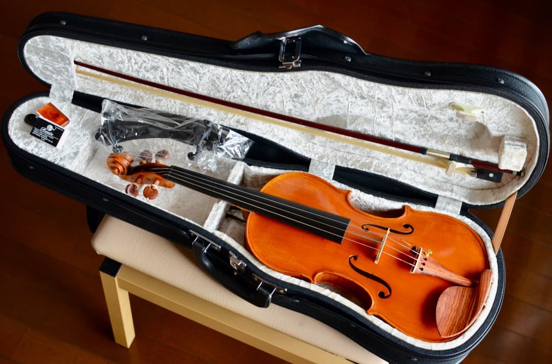 【カスタム美品】Gliga GEMS1 4/4 バイオリン セット