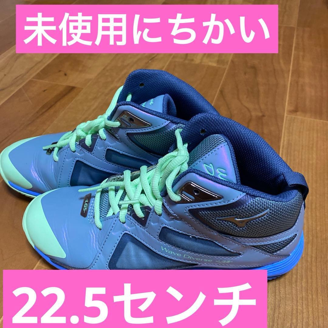 ミズノウェブダイバーズ