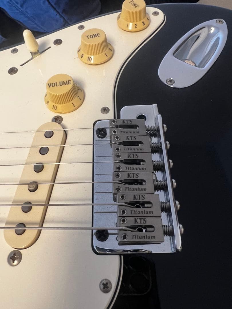 ギター FUJIGEN Neo Classic Series NCST-20R