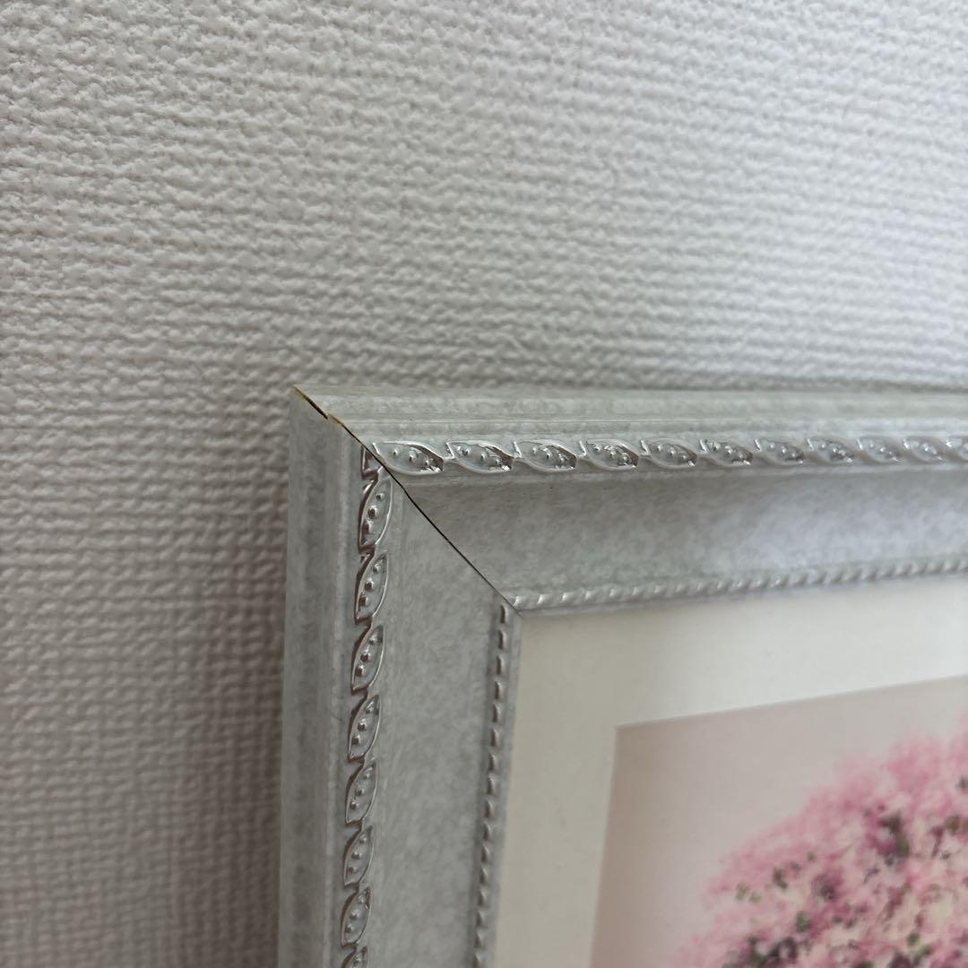 坂井みな作画　希望の花・ピンクS