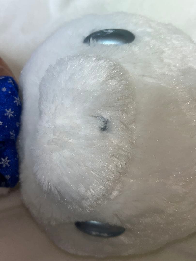 チャックスGP 汎用うさぎ winter edition 2種 GCP-362