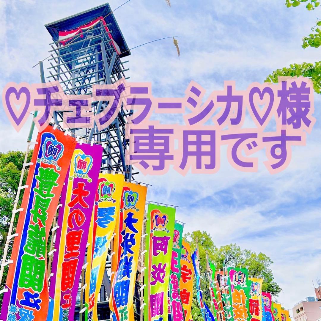 ♡チェブラーシカ♡様② 専用です✩.*˚(10月1日まで)