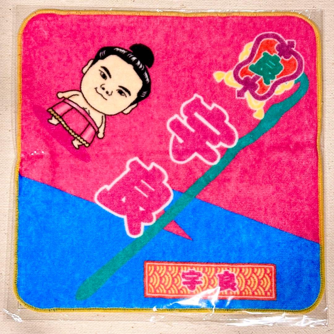 ♡チェブラーシカ♡様② 専用です✩.*˚(10月1日まで)