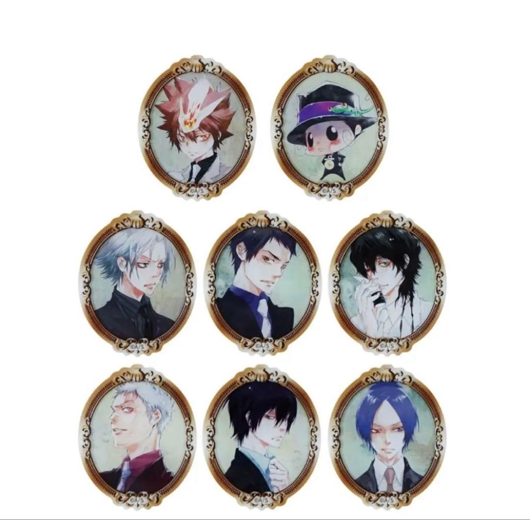 家庭教師ヒットマンreborn フレームスタイルマグネットコレクション　沢田綱吉