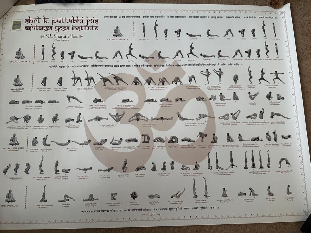 【新品】アシュタンガヨガ アーサナ一覧ポスター 大