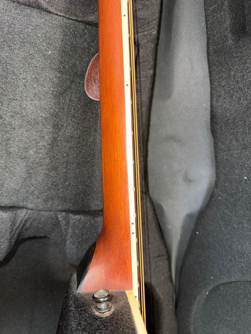 Ovation Celebrity Deluxe CC257 ハードケース付き