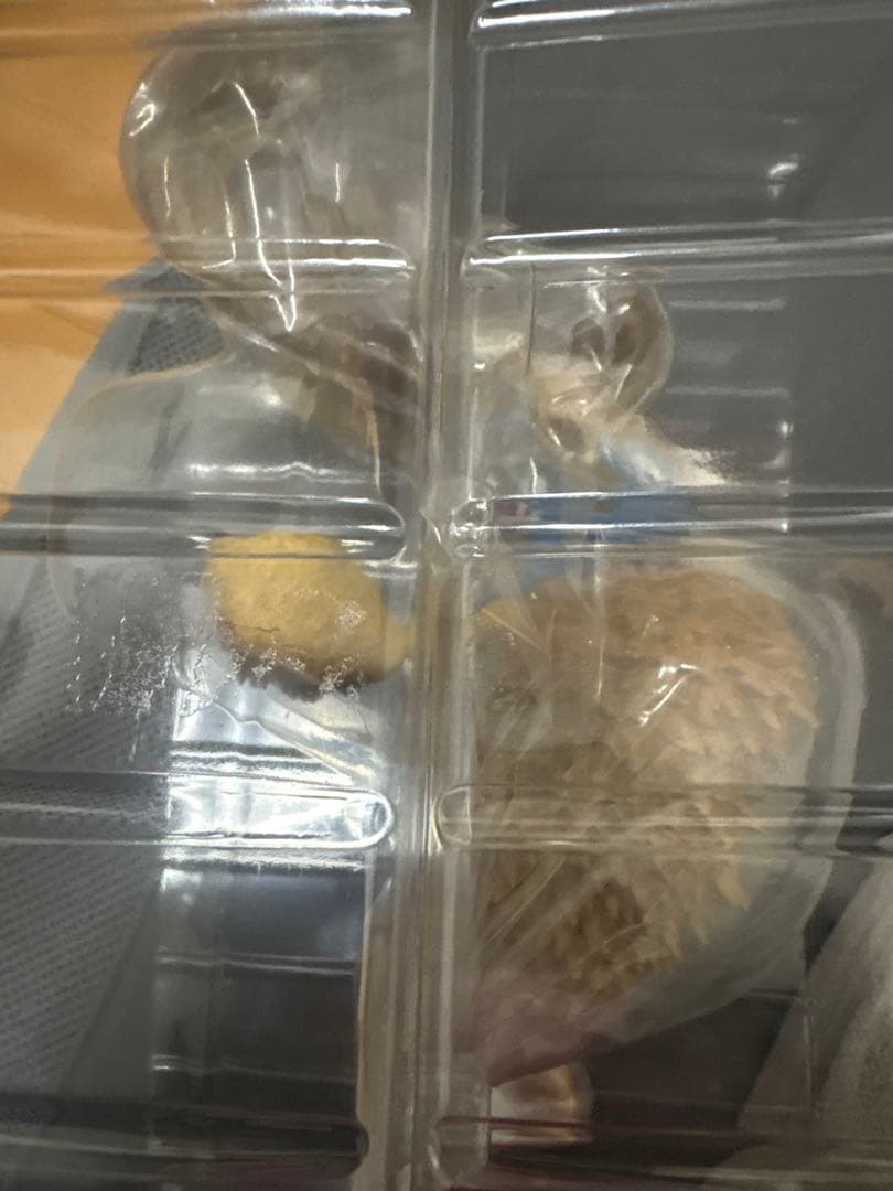 P.O.P POP MAS ワンピース トニートニー・チョッパー ホーンポイント