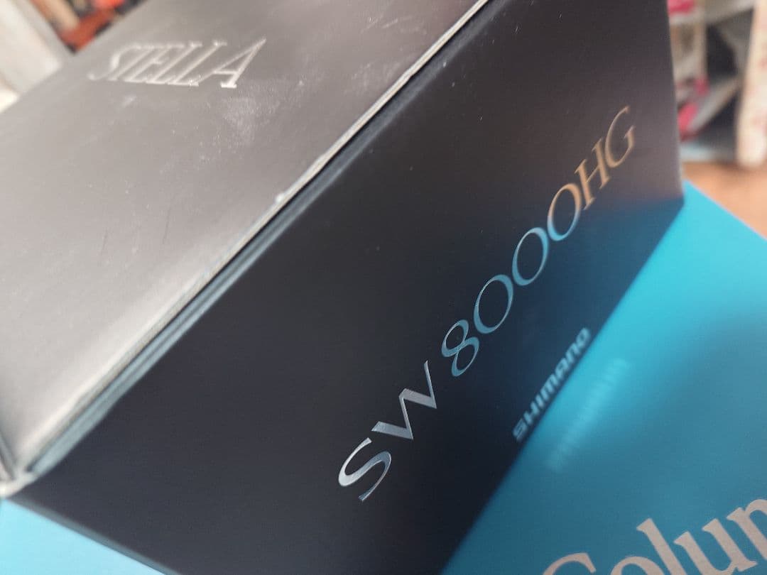 シマノ 19ステラSW 8000HG