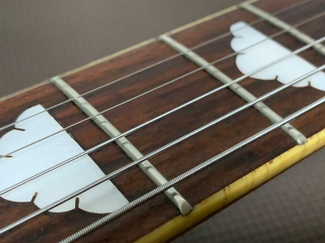 JAGARD by EKSモッキンバード MG タイプ ジャンク