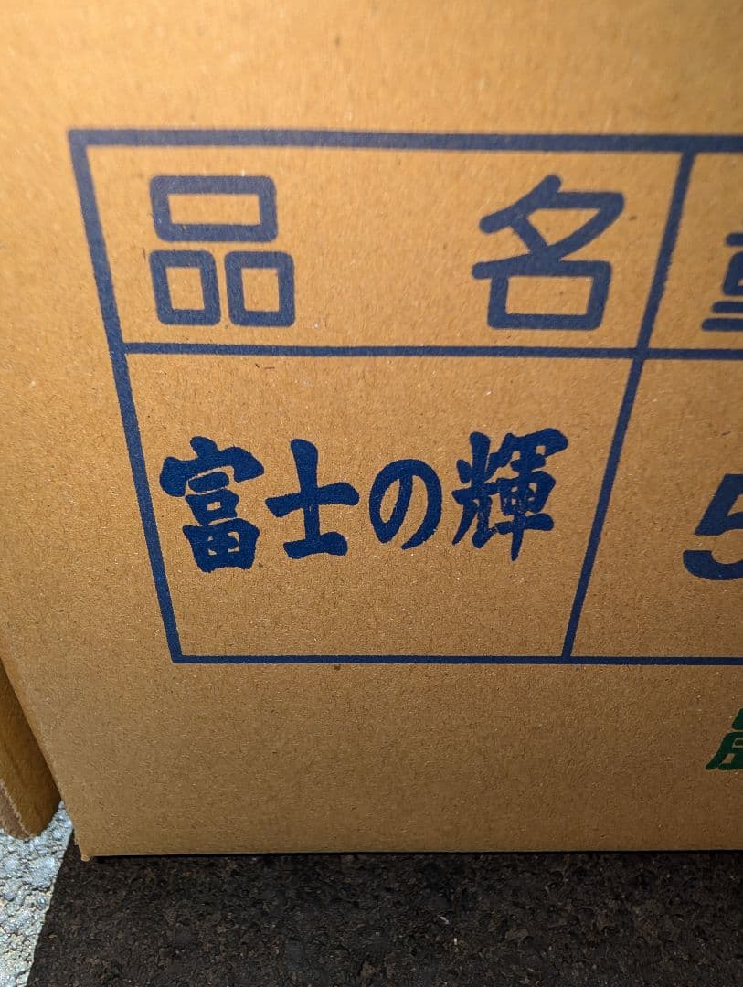 山梨県産ぶどう　ブラックシャインマスカット　10房入り箱込み約5.5kg
