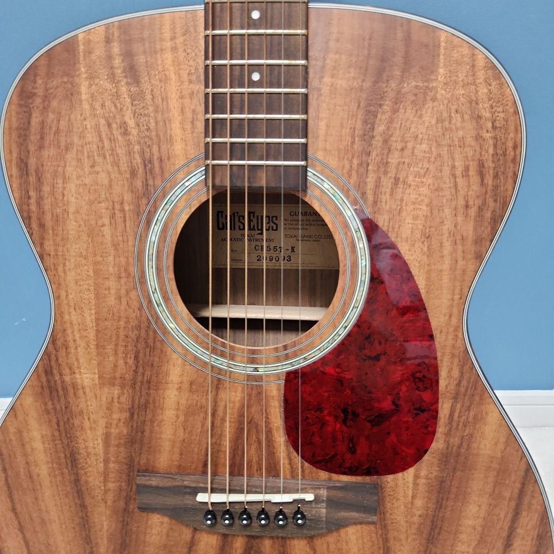 【未使用品】 キャッツアイ アコースティック・ギター カバー付き CE55T-K