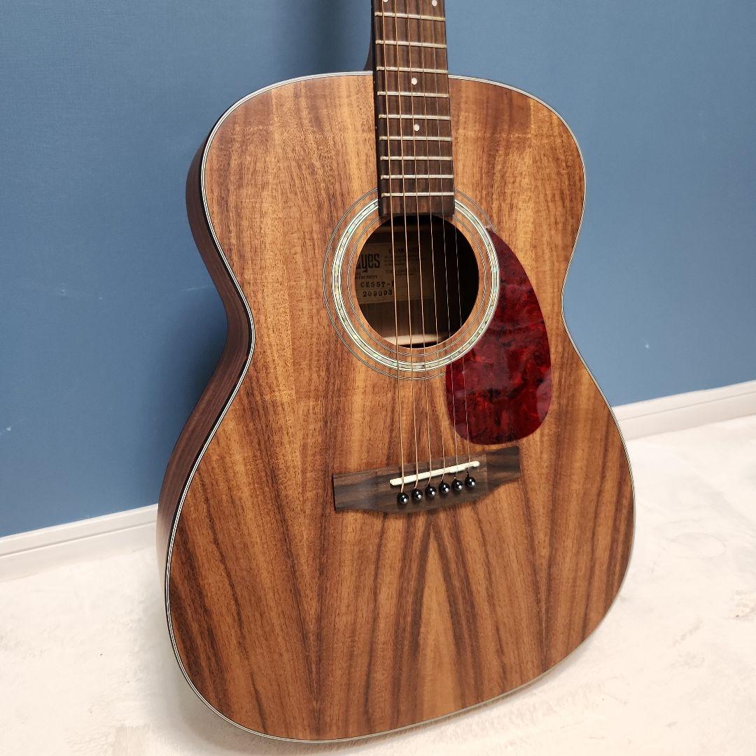 【未使用品】 キャッツアイ アコースティック・ギター カバー付き CE55T-K