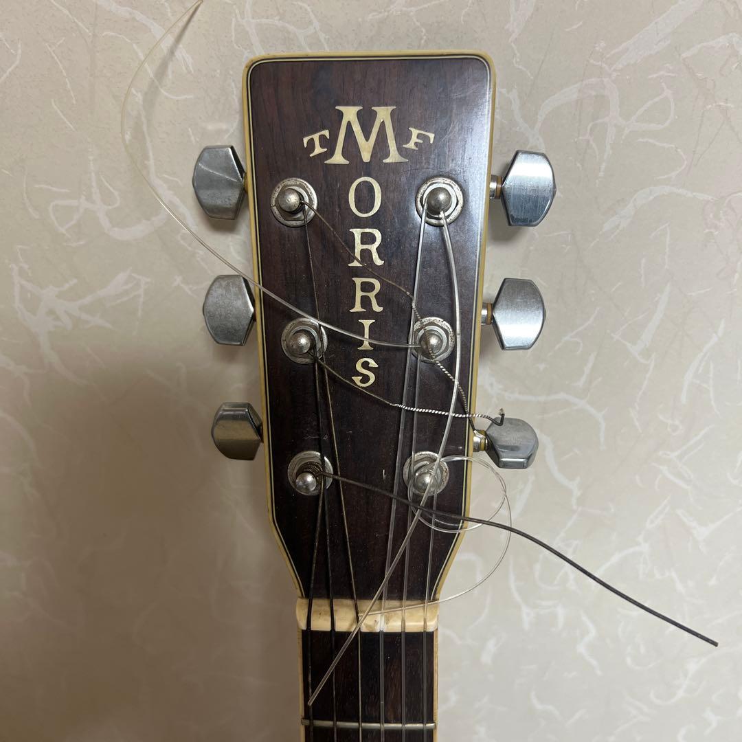 Morris ヴィンテージアコースティックギターTF
