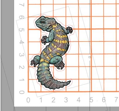 [即購入×！プロフ必読！お急ぎ対応可○]爬虫類ステッカー