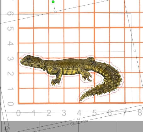 [即購入×！プロフ必読！お急ぎ対応可○]爬虫類ステッカー