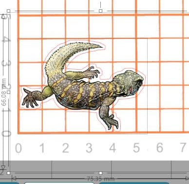 [即購入×！プロフ必読！お急ぎ対応可○]爬虫類ステッカー