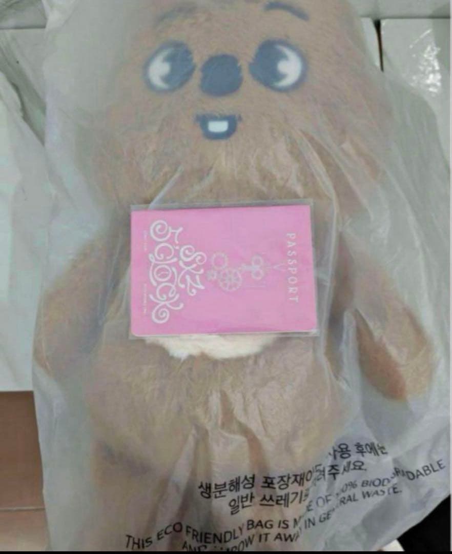 テディベア ぬいぐるみ teddybear SKZOO ハン　ハンクォ