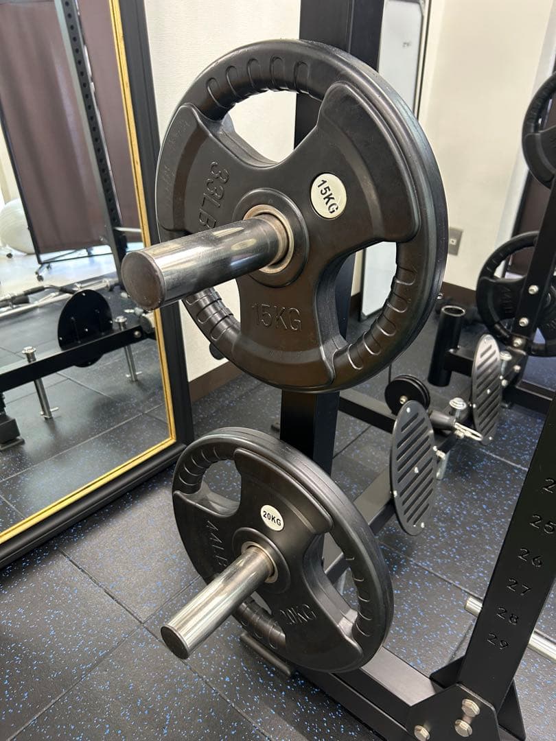 EVOLGEAR エヴォルギア フォールディングパワーラックEVPR-181