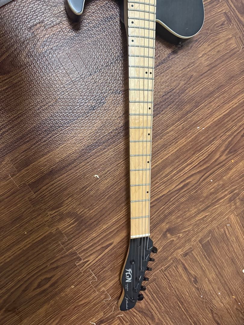 ギター FGN FUJIGEN JIL-ASH-DE664-M EMG