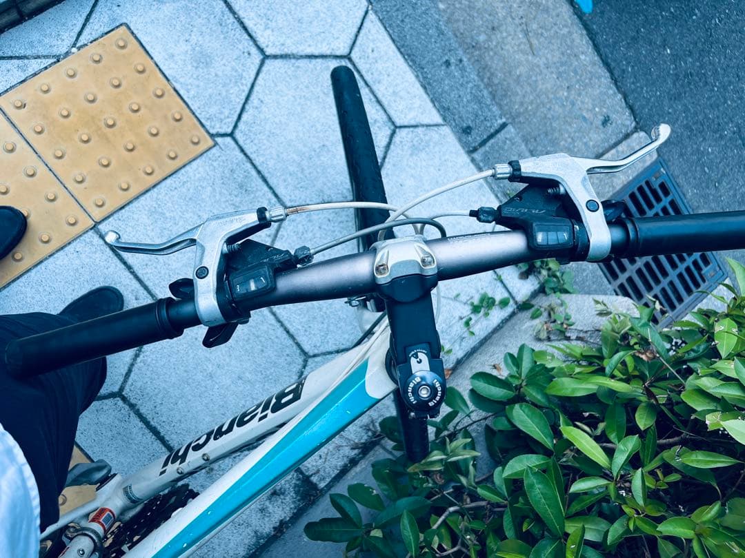 ビアンキ　自転車　クロスバイク　カメレオンテ スポーツ3 中古　白bianchi