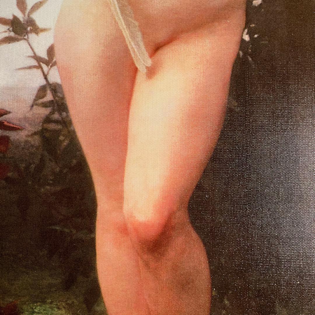 キャンバス プリントアート ブグロー キュピドン 絵画 インテリア