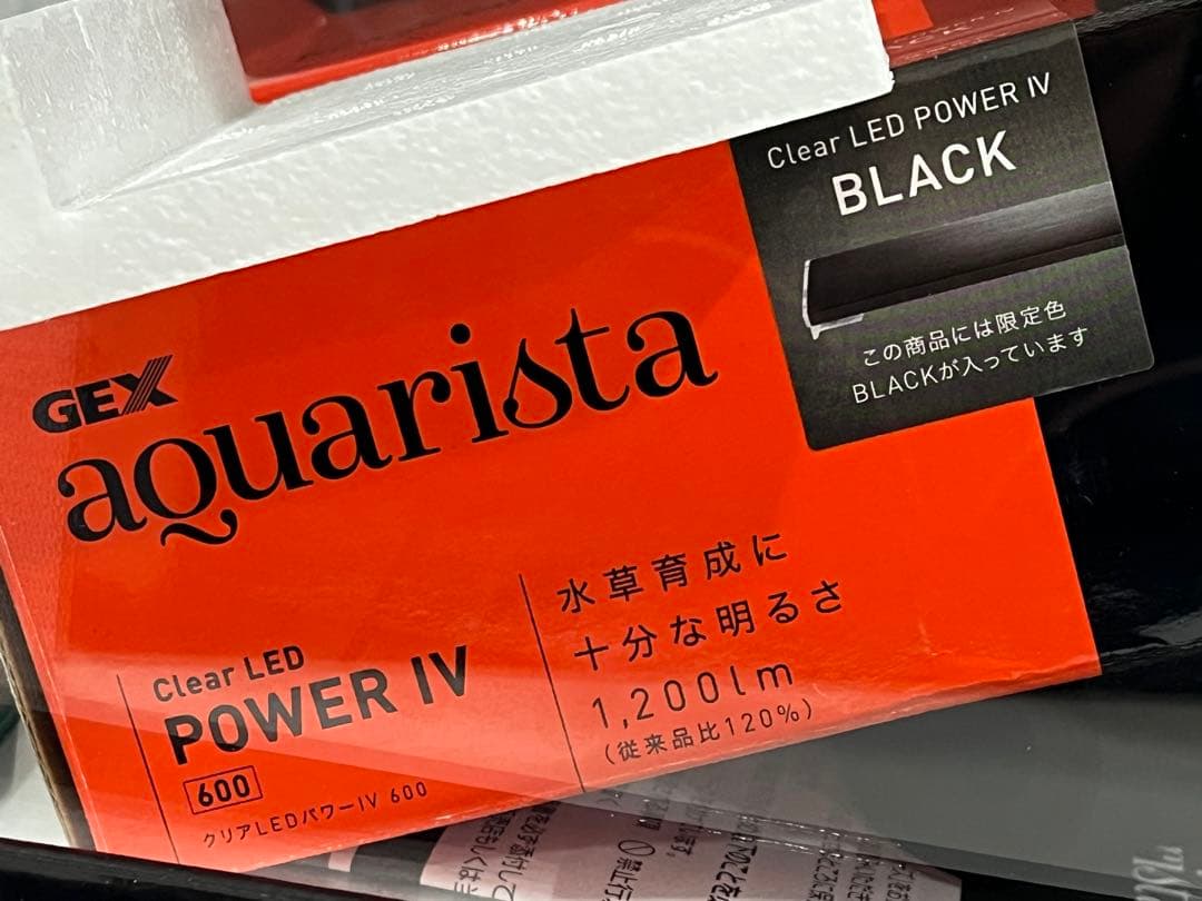 f037 未開封　GEX アクアリスタ　グラスカスタム　600 水槽　60038