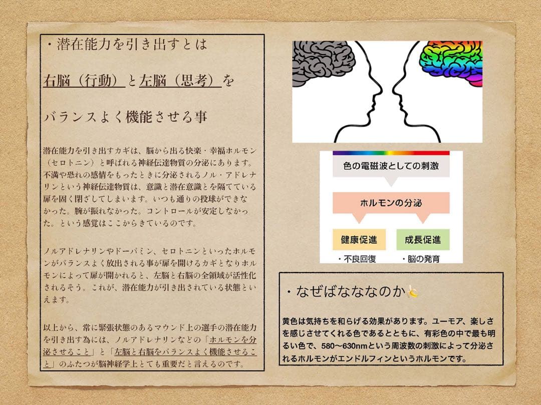 ごりら印の野球道具　硬式用オーダーグローブSKR型