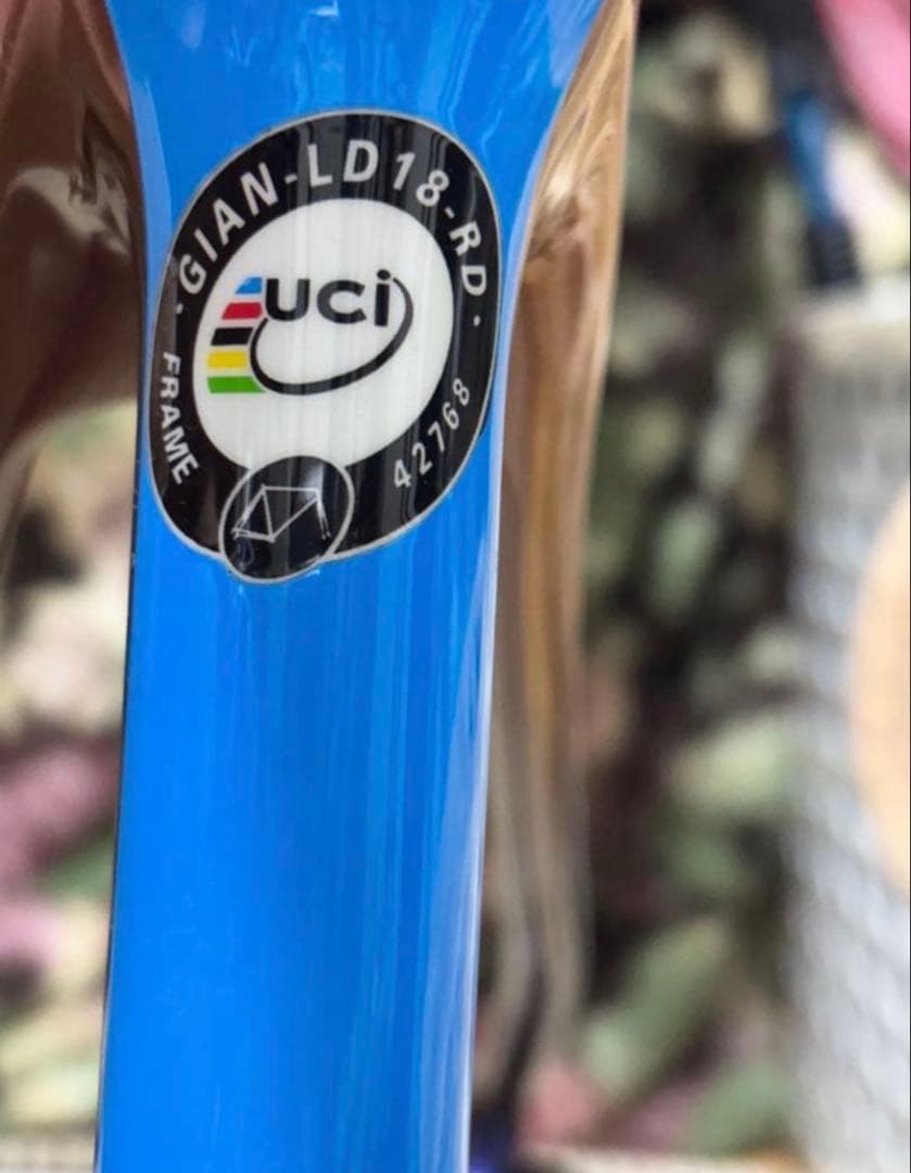 liv langma advanced pro ロードバイク フレームセット