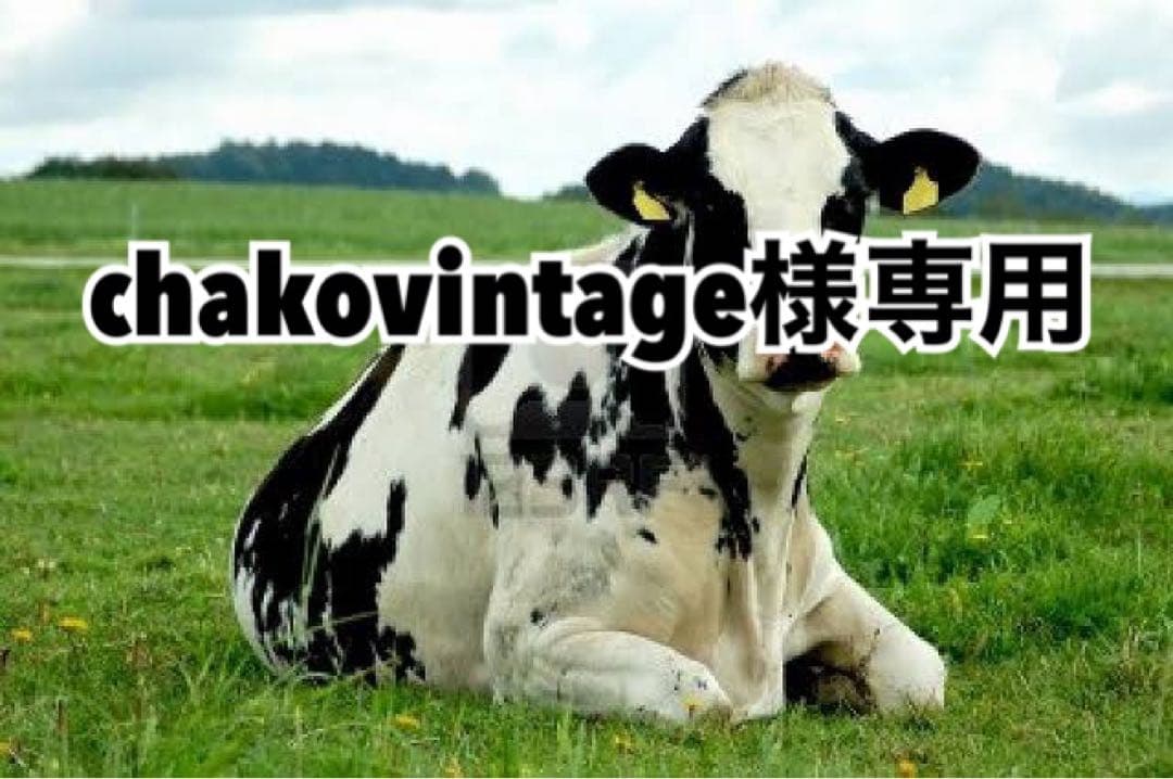 ホワイト50、黒30