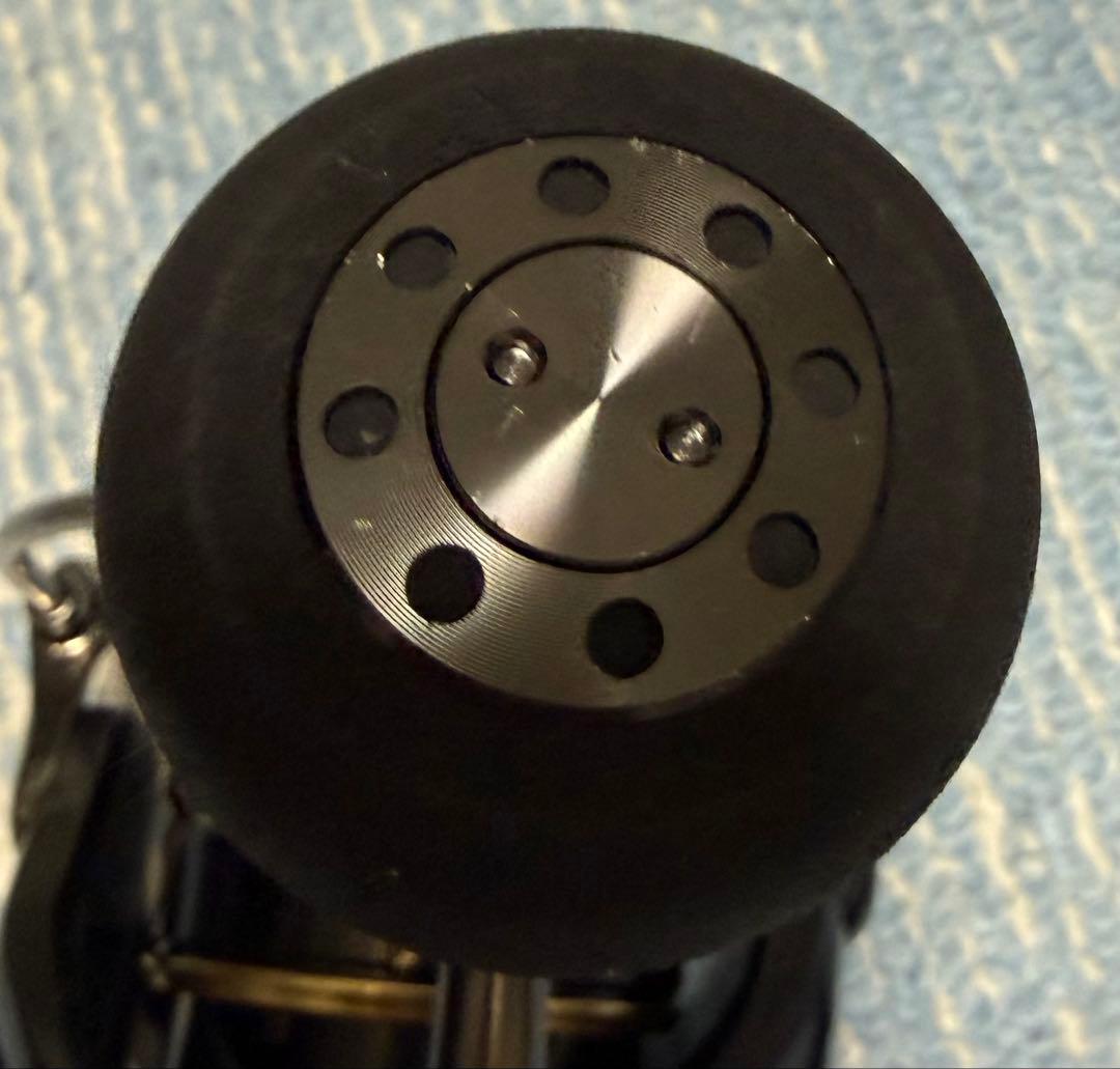 リール DAIWA CALDIA SW 8000-P