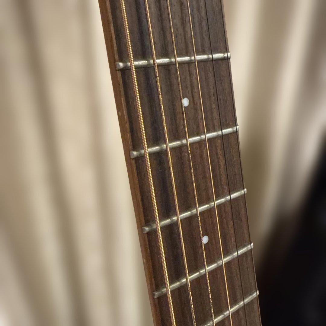 【2月末まで】 anuenue bird guitar ann－m2