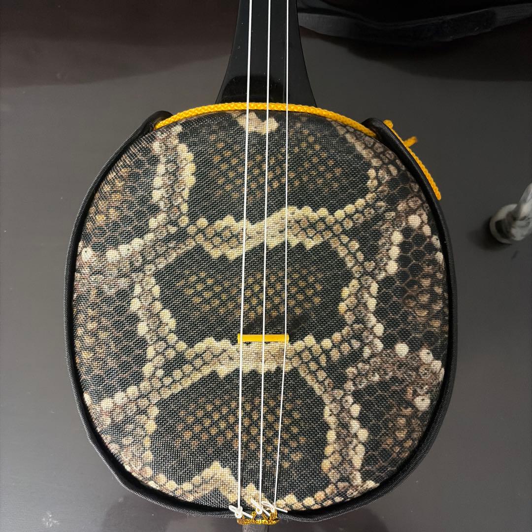 三線 本体 ヘビ皮 ケース付き