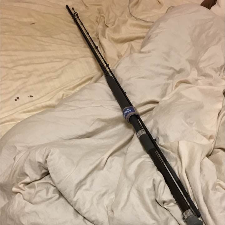 ダイワ シーバード