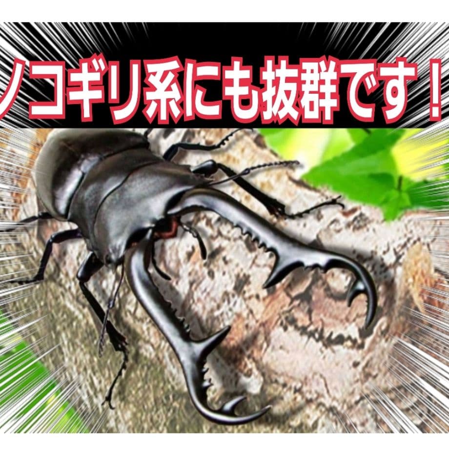 デカクなる極上菌糸瓶1500ml【5本】☆トレハロース、ローヤルゼリー強化配合！