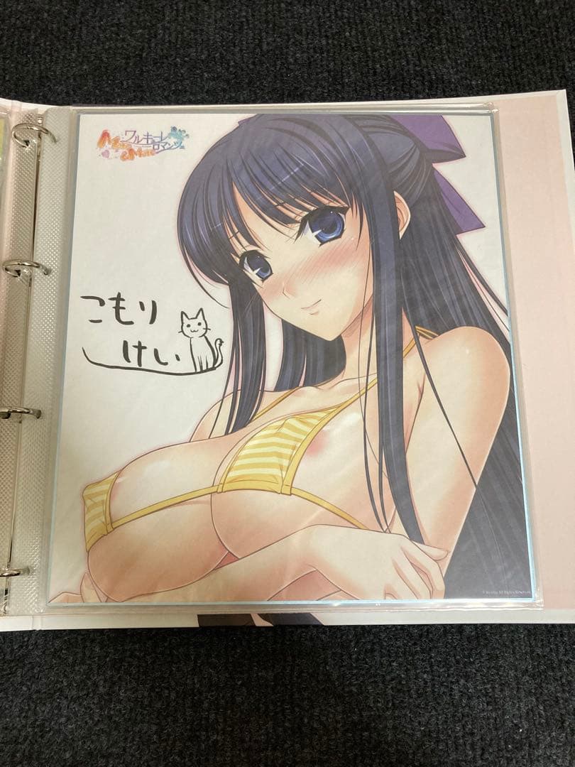 ワルキューレロマンツェ 色紙 バインダー