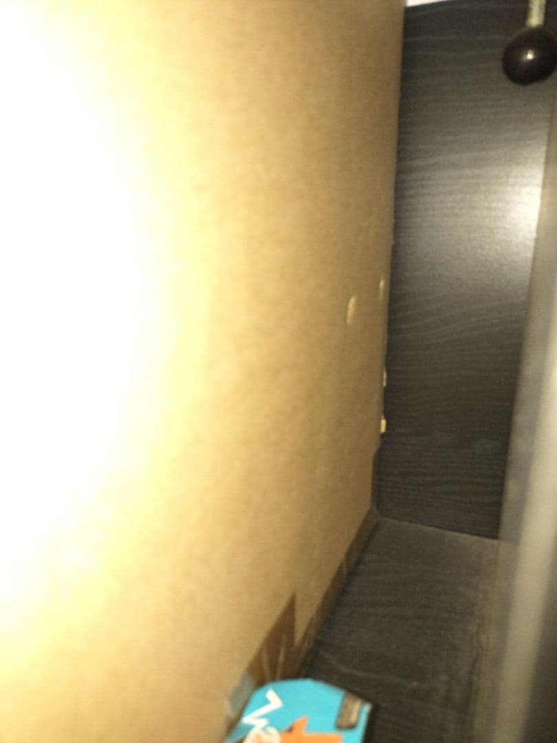 新品未開封　さらばゴジラ　2004 リアルマスターコレクション　少年リック