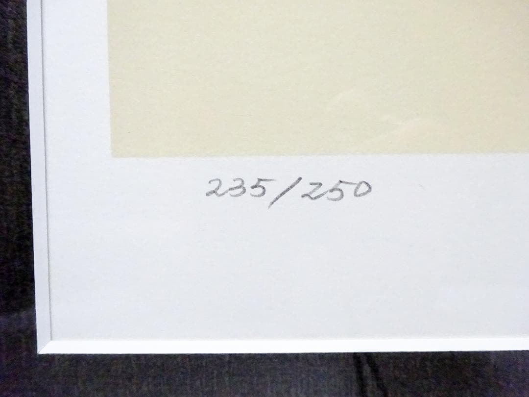 #天野喜孝 #華 #リトグラフ #大作 #直筆サイン #アールビバン #証明書付