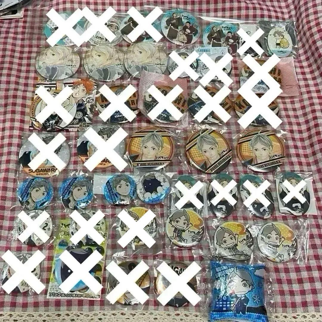 菅原孝支グッズ200点以上