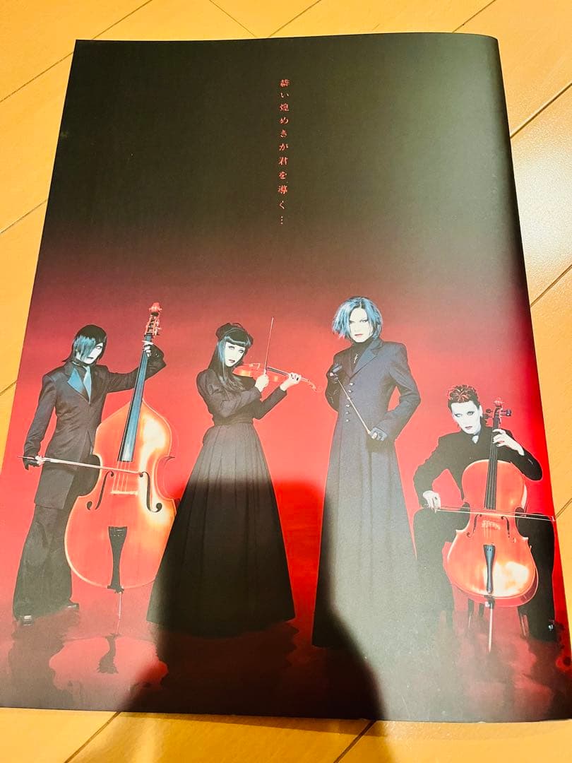 レア　MALICE MIZER Gardenia パンフレット