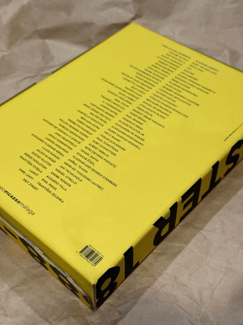 The European Poster 1888-1938 ポスター集 アート