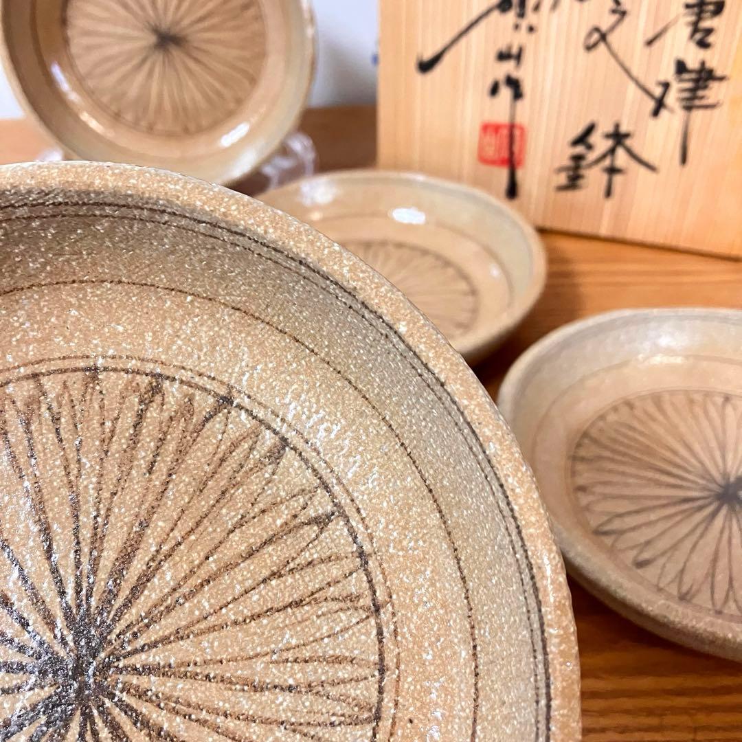 瀬戸唐津　菊花文　鉢　皿　5枚