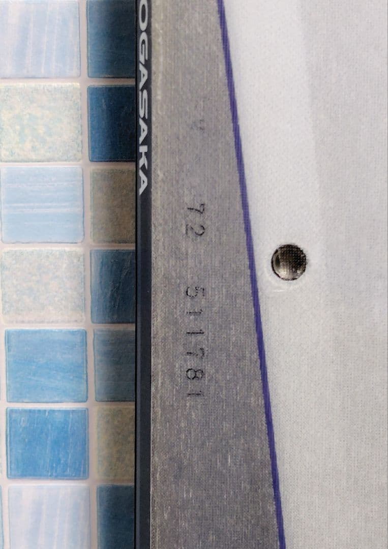 [ 美品 ] オガサカ アルペンスノーボード EVO-GS / 172cm