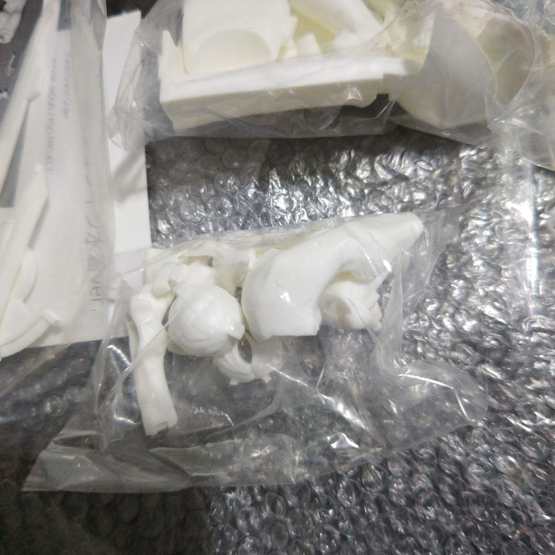 FATE　フランケンシュタイン　水着　ガレージキット　未組立