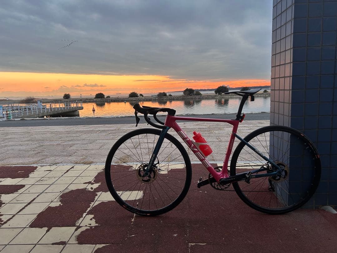 エルブス ヴァンヤールプロ 即購入不可